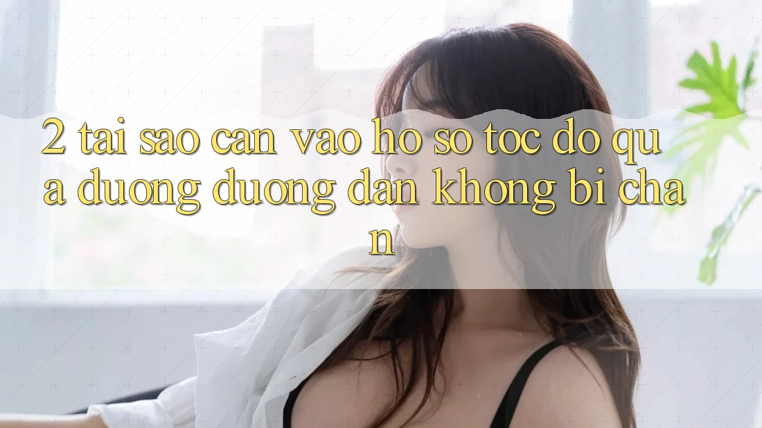 2. Tại Sao Cần Vào hồ sơ Tốc độ Qua Đường Đường dẫn Không Bị Chặn? 2. Tại Sao Cần Vào hồ sơ Tốc độ Qua Đường Đường dẫn Không Bị Chặn?