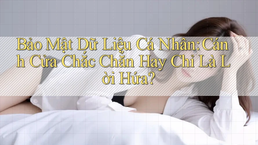 Bảo Mật Dữ Liệu Cá Nhân: Cánh Cửa Chắc Chắn Hay Chỉ Là Lời Hứa? Bảo Mật Dữ Liệu Cá Nhân: Cánh Cửa Chắc Chắn Hay Chỉ Là Lời Hứa?