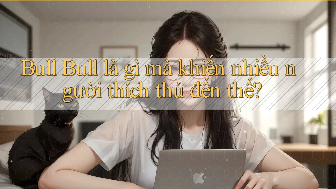 Bull Bull là gì mà khiến nhiều người thích thú đến thế? Bull Bull là gì mà khiến nhiều người thích thú đến thế?