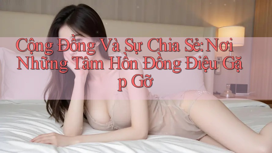 Cộng Đồng Và Sự Chia Sẻ: Nơi Những Tâm Hồn Đồng Điệu Gặp Gỡ