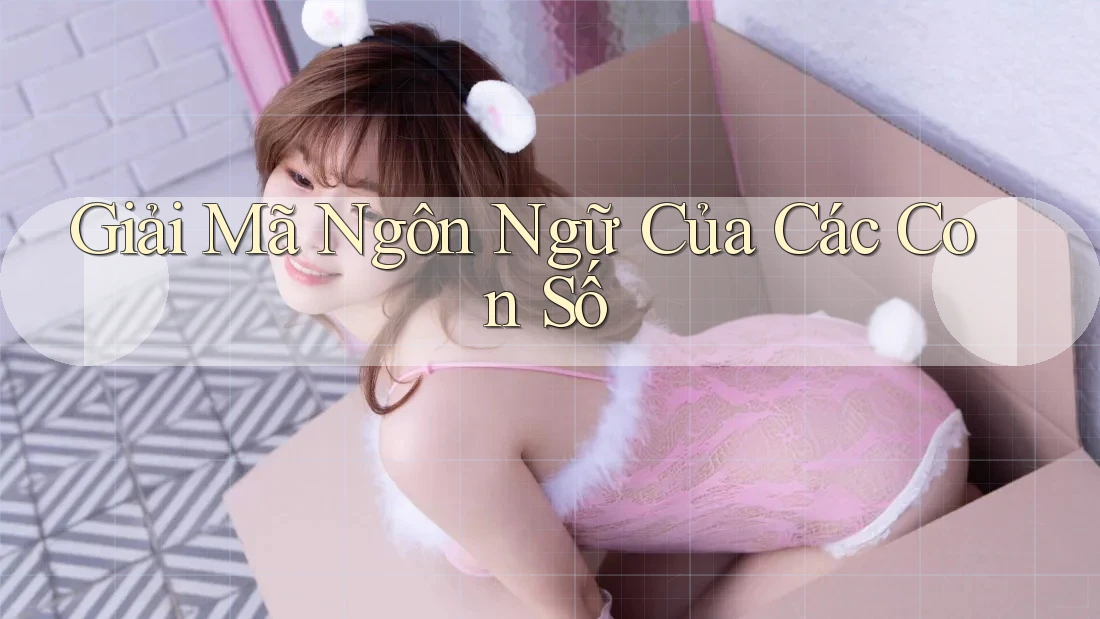 Giải Mã Ngôn Ngữ Của Các Con Số