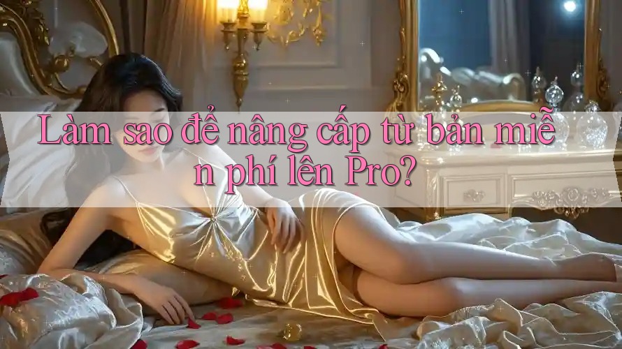 Làm sao để nâng cấp từ bản miễn phí lên Pro?
