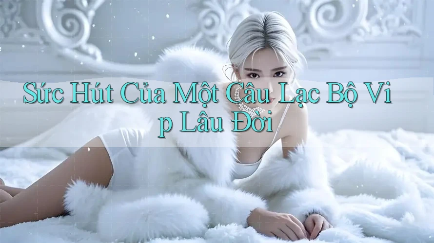 Sức Hút Của Một Câu Lạc Bộ Vip Lâu Đời Sức Hút Của Một Câu Lạc Bộ Vip Lâu Đời