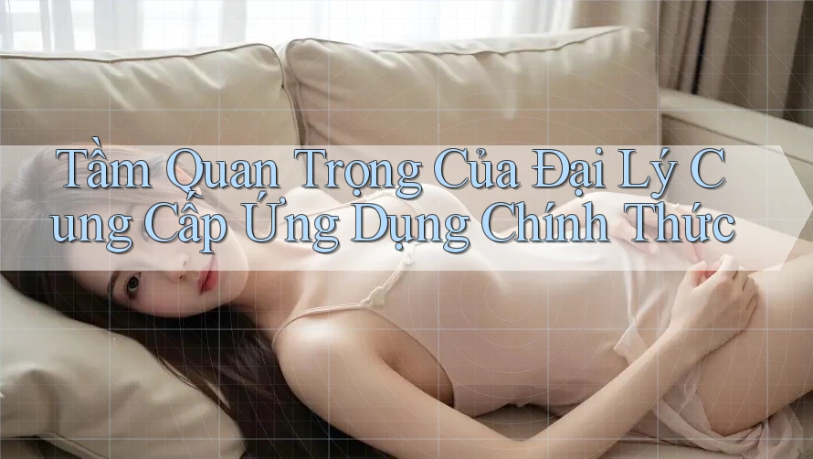 Tầm Quan Trọng Của Đại Lý Cung Cấp Ứng Dụng Chính Thức Tầm Quan Trọng Của Đại Lý Cung Cấp Ứng Dụng Chính Thức