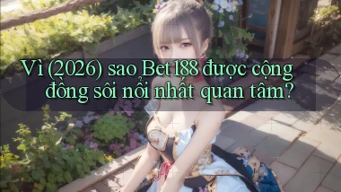 Vì (2026) sao Bet188 được cộng đồng sôi nổi nhất quan tâm